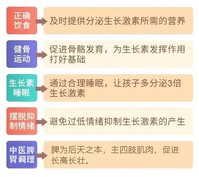 臨床驗證有效,蓋章認可的中醫長高課無論是父母,還是爺爺奶奶外公