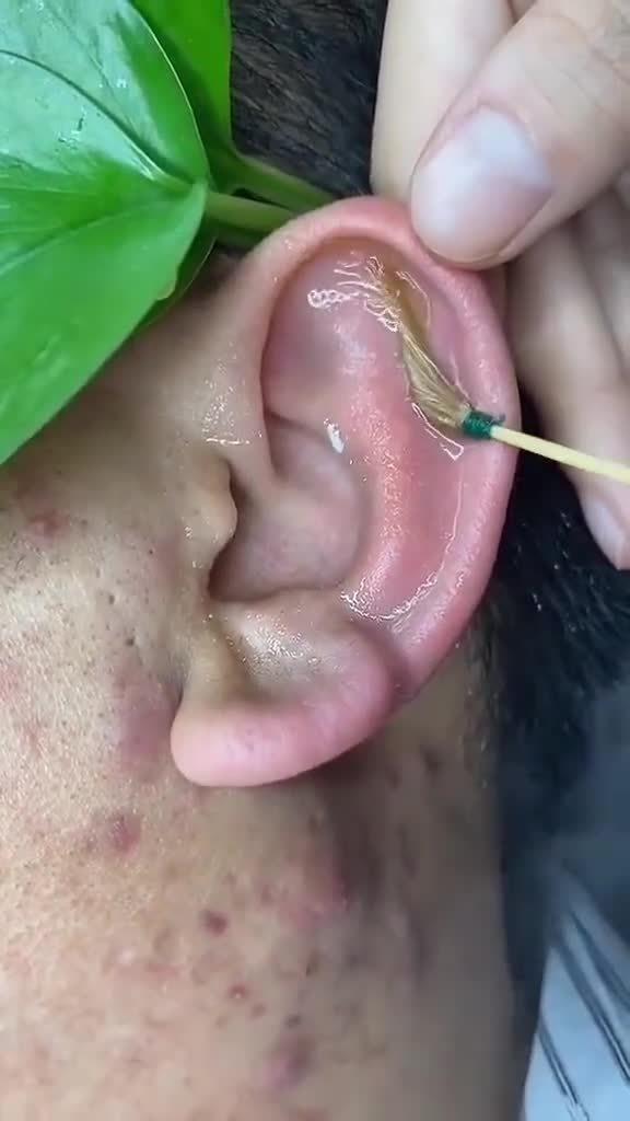 洗洗耳朵吧相当舒服了