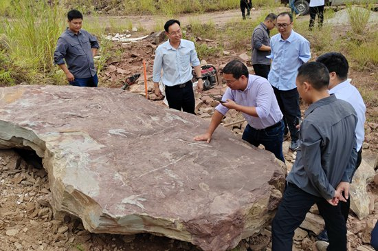 &nbsp;&nbsp;&nbsp;&nbsp;项目组在恐龙化石点现场。何杰/摄