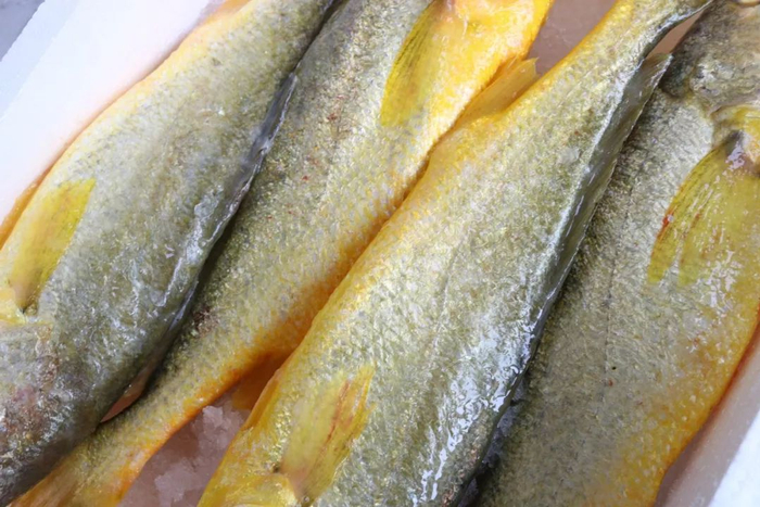 年夜饭压桌菜,细品舌尖上的鲜美|大黄鱼|黄鱼|鲞_新浪新闻