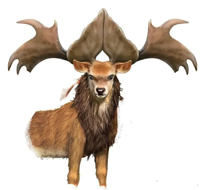 【冰河巨兽】中华大角鹿dna被破解!|化石_新浪新闻