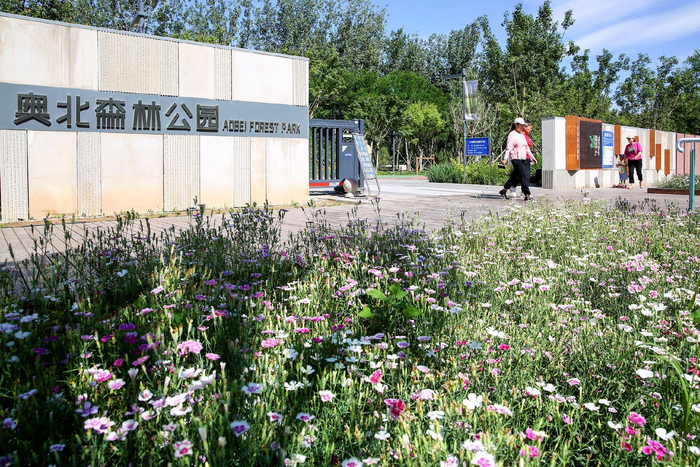 奥北森林公园。北京市园林绿化局供图