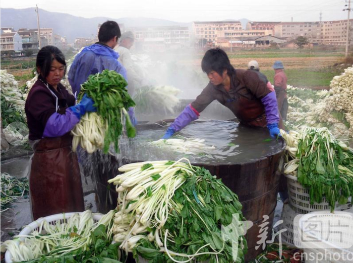 图源：中新社发 温岭金云国 摄