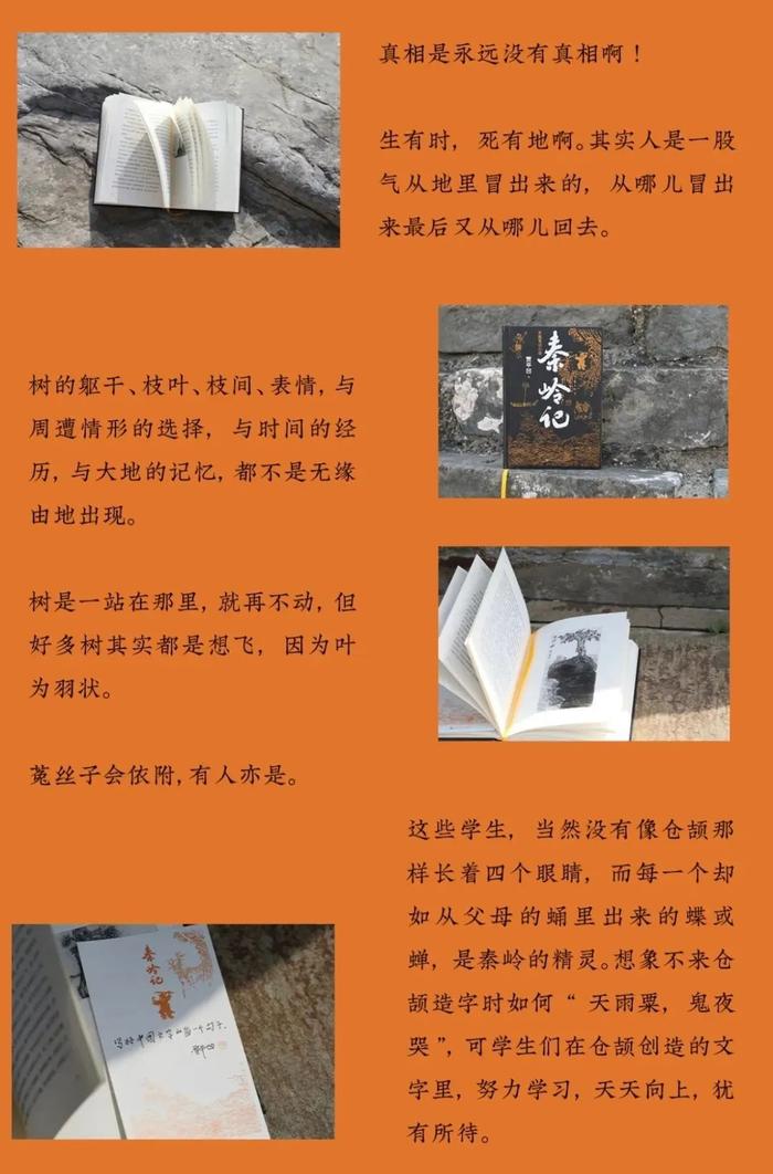 賈平凹:我喜歡讀源頭的,開宗立源的書|賈平凹|中華報