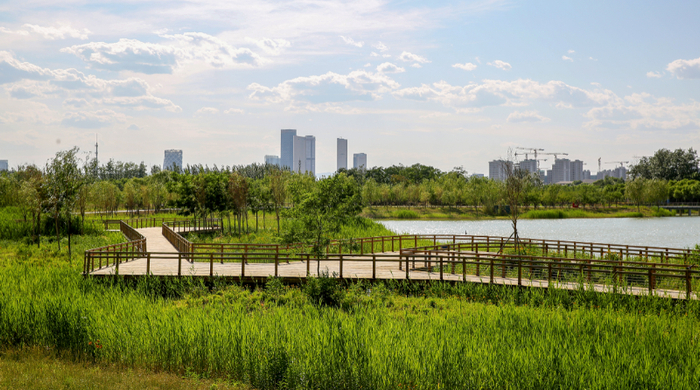增绿1万亩,打造百条城市画廊……今年北京绿化这么干!
