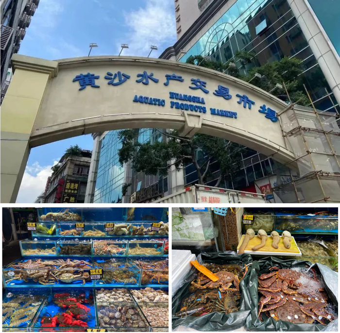 广州这个市场预计年中投入使用→|水产|黄沙|海鲜_新浪新闻