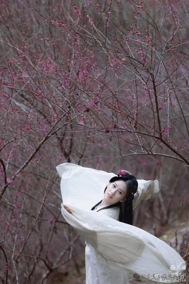 梅园|云天|永嘉书院_新浪新闻