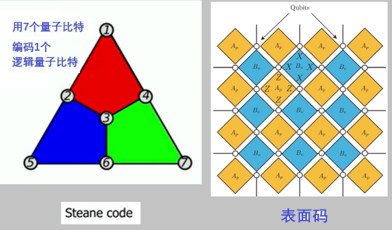图5：量子纠错的Steane码和表面码