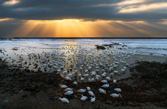 赠金笔转载：威海，是下一个“尔滨”吗？