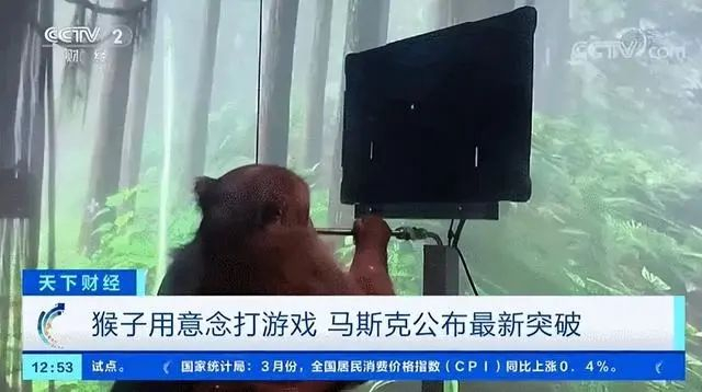 图片来源：央视财经