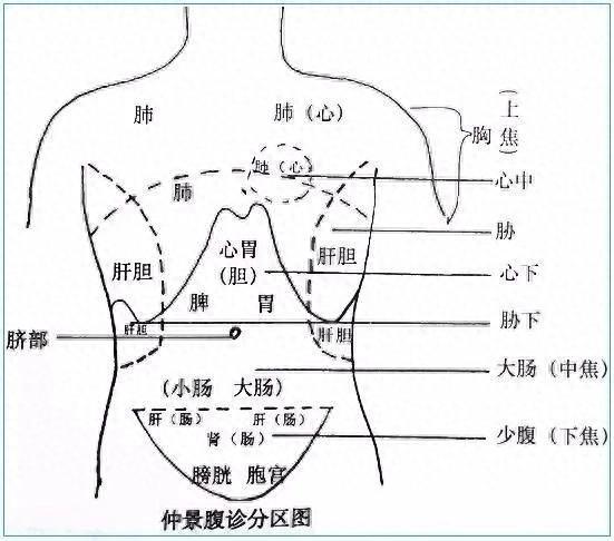 腹围示意图图片