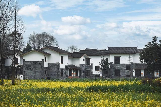 事关农村住房建设,四川出台办法|办法|农村|四川省_新浪新闻