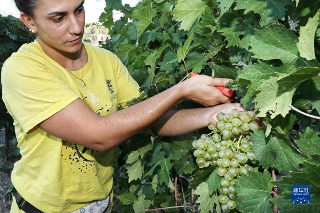 孔帆:供养国人却越过越穷,法国农民上街了|法国|农民|农村_新浪新闻