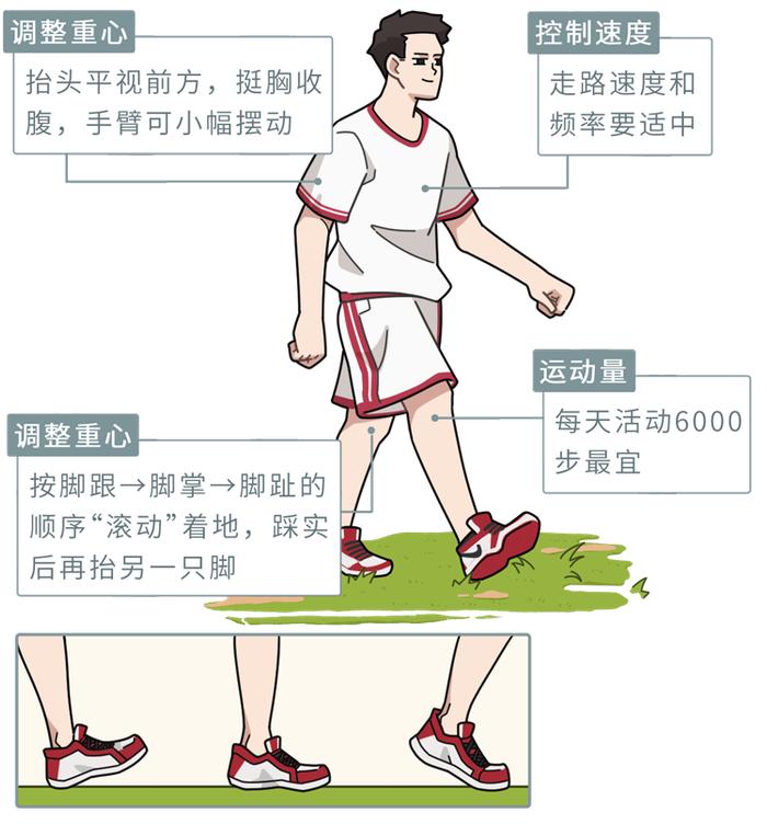 手足行走锻炼方法图图片