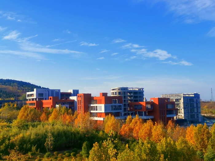 枣庄职业学院发布2024年单独考试招生简章|枣庄职业学院|招生|考生_新