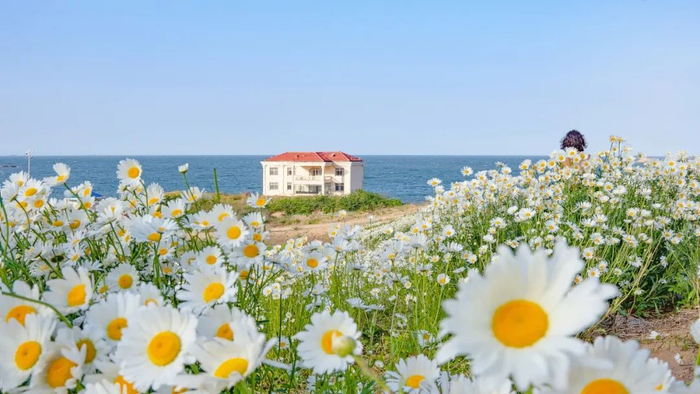 赠金笔转载：威海，是下一个“尔滨”吗？