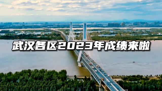 武漢各區2023年成績來啦東湖高新區在建億元級項目236個洪山區穩居