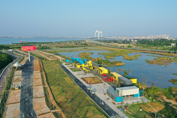 水东湾新城万寿口湿地修复项目。茂名日报社全媒体记者 丘立贺 摄