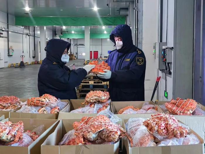 杨军调研时强调：集约用海科学管海