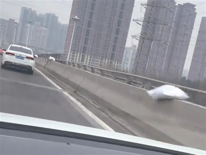 高架桥旁已堆放融雪剂（视频截图）