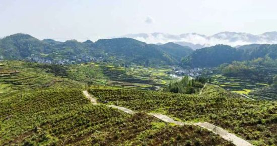 湖南泸溪兴隆场镇打出"组合拳" 绘就和美乡村"靓景图"