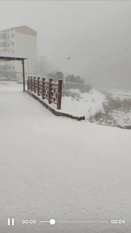 三门峡灵宝  小红书@后座剧场