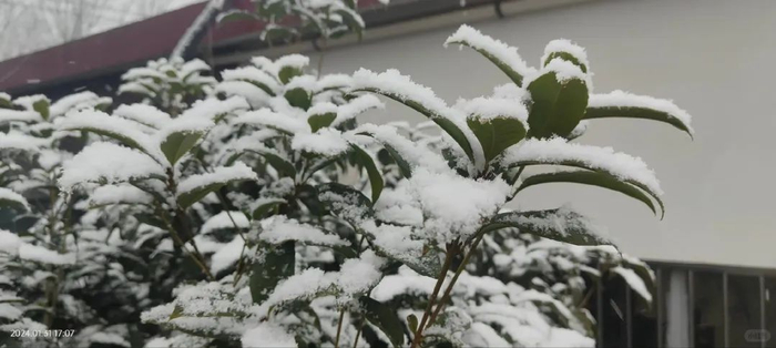 漯河不到10分钟的降雪量 小红书@不到80斤不改名