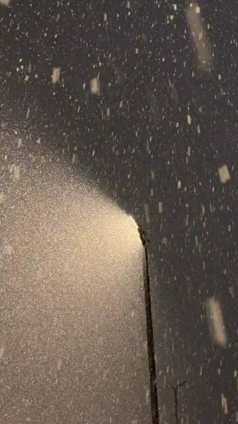 漫天飞舞的雪花在黑夜里奏响华尔兹抬头看