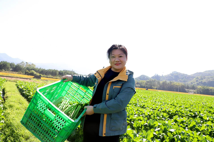 广东优秀异地务工人员河南姑娘成连州农产品推广大使南粤追梦