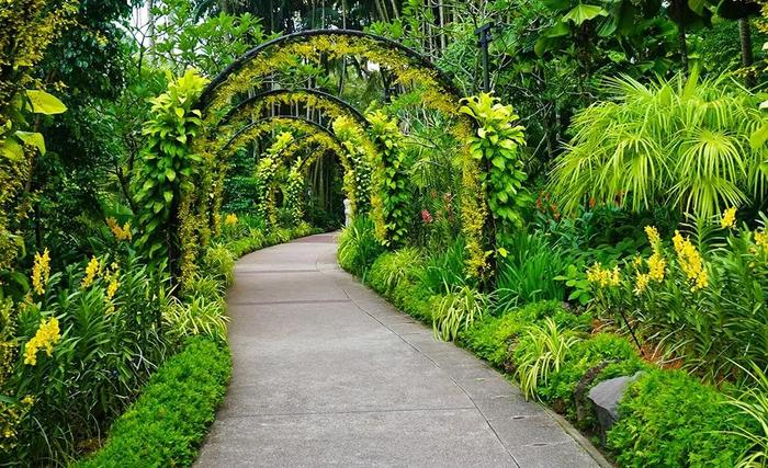 7種花園園路連接花園的各個功能區哪一款是你的最愛