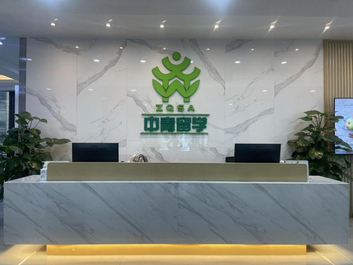 移民签证代办行业的最新动态与趋势观察
