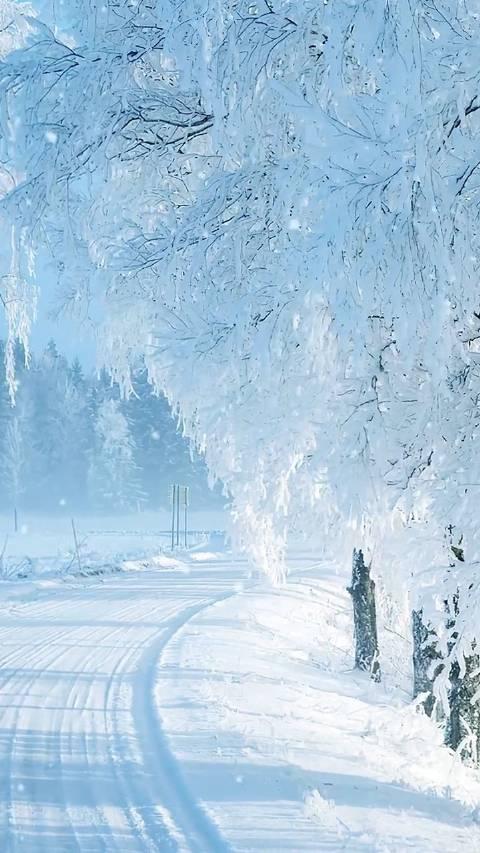 锁屏壁纸雪景图片