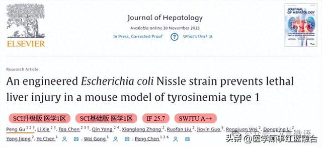 隱性遺傳疾病,由富馬酰乙酸水解酶(fah)缺乏引起,可導致致死性肝損傷