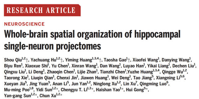 论文截图。本文图均为 中国科学院脑科学与智能技术卓越创新中心 供图