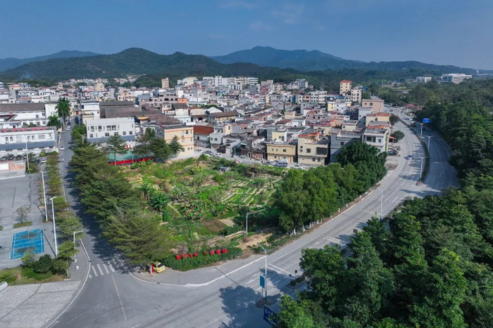 云浮市新兴县稔村镇气候温和，资源丰富，是远近闻名的“鱼米之乡”。佛山新闻网记者 王颖尧 摄
