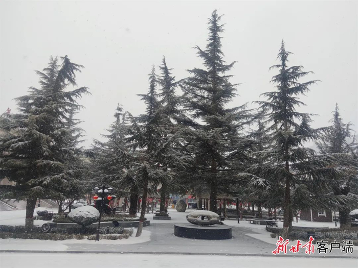 庆阳市2月1日迎来大面积降雪天气。新甘肃·甘肃日报记者 海晓宁 摄