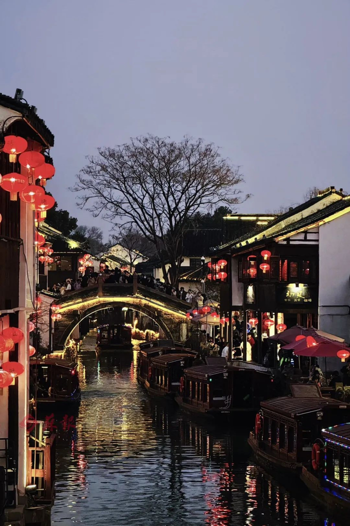 来源：苏报融媒记者 李自瑾编辑：小吉