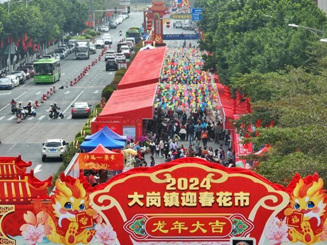 图集岭南年味花先知广州南沙大岗花市抢先开市