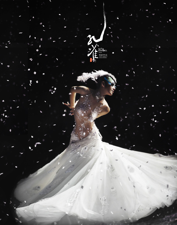 杨丽萍携舞剧《孔雀》再登广西文化艺术中心舞台|孔雀之死|孔雀|杨