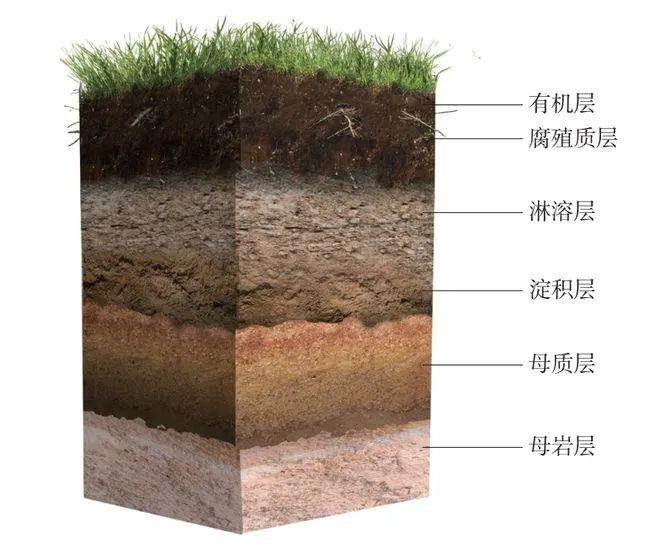 生态植草沟剖面图图片