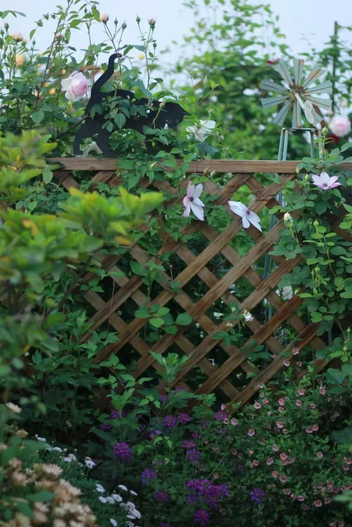 庭院的边界如何打造?这几种围栏,总有一款适合你