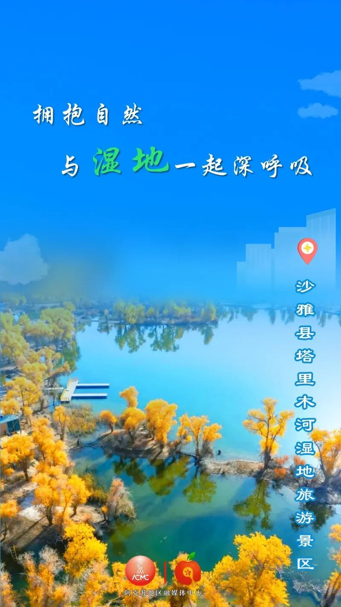 【世界湿地日】一组海报带你领略阿克苏湿地之美