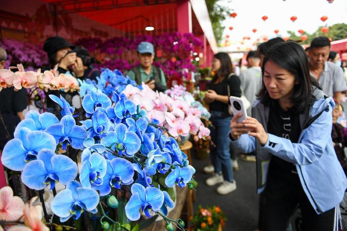 廣東深圳逛花市尋年味