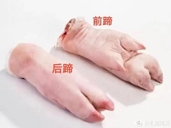 猪前蹄和猪后蹄的区别,你了解了吗?|蹄筋_新浪新闻
