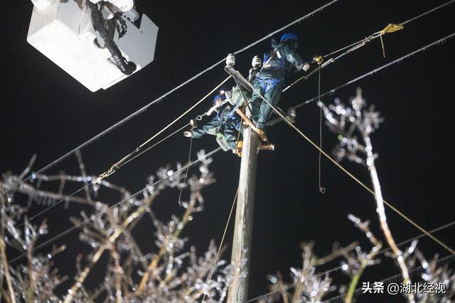 鏖戰風雨鬥嚴寒 電力搶修夜無眠|電杆_新浪新聞