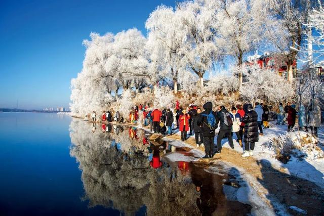 游客在吉林市松花江畔小雾凇岛观雾赏凇。图/视觉中国