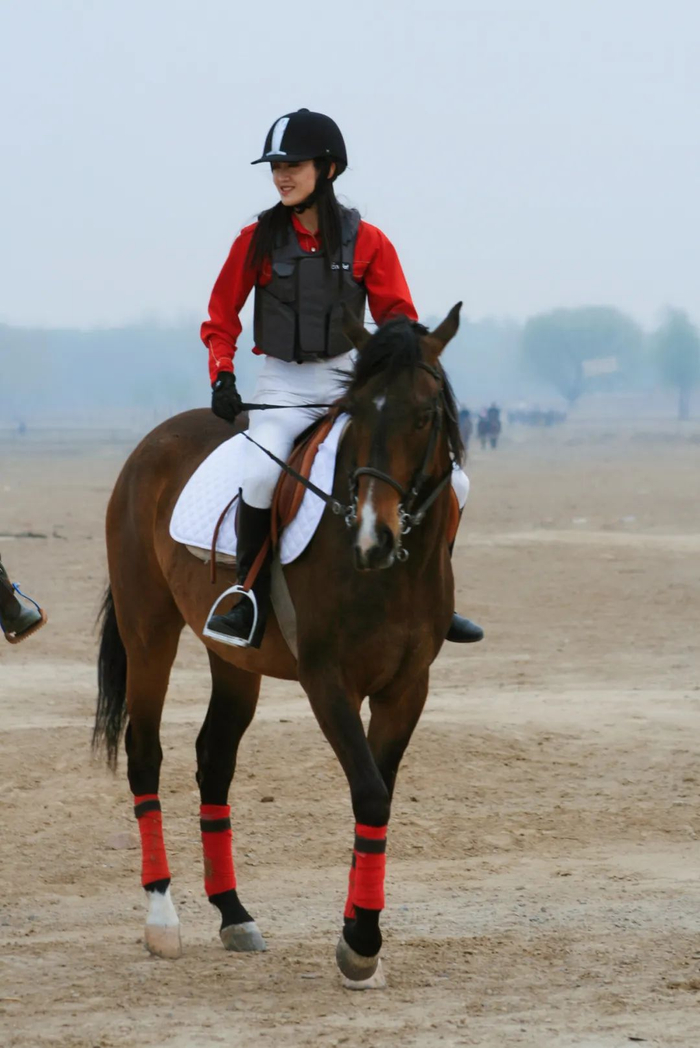 从第一次骑马的时候,我就自己遛马,洗马;后来因为生活和工作的繁忙