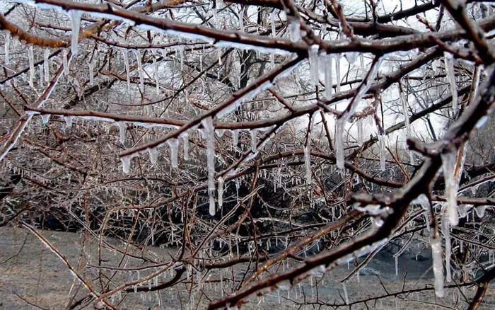 冻雨,雨夹雪或雪齐登场!出行需特别注意