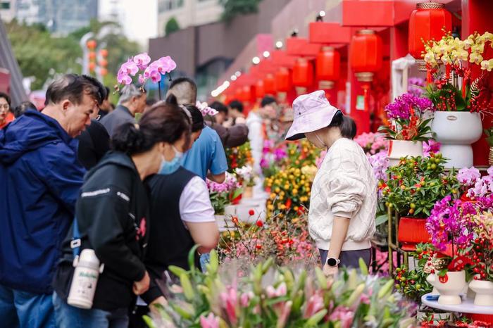 深圳最大花卉市场图片