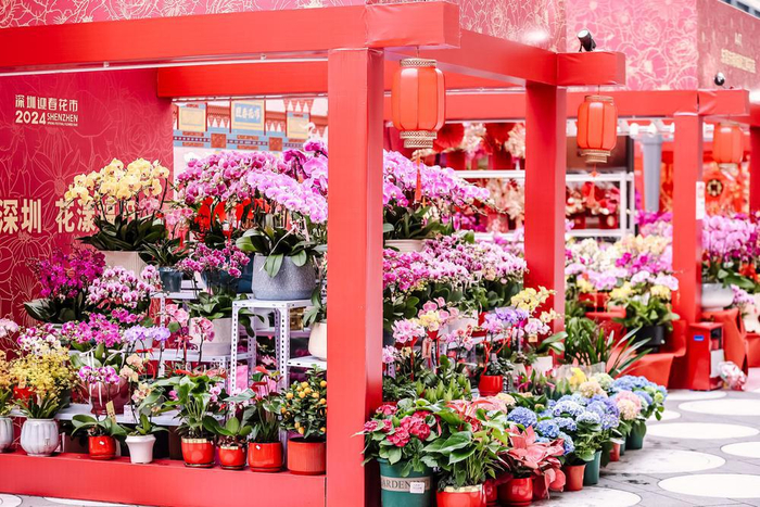 视频图集跨界融合打造时尚浪漫2024深圳福田迎春花市正式开